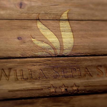 Willa Sepia Spa Wisla Ngoại thất bức ảnh