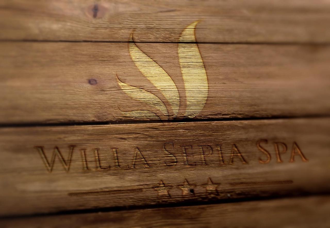 Willa Sepia Spa Wisla Ngoại thất bức ảnh