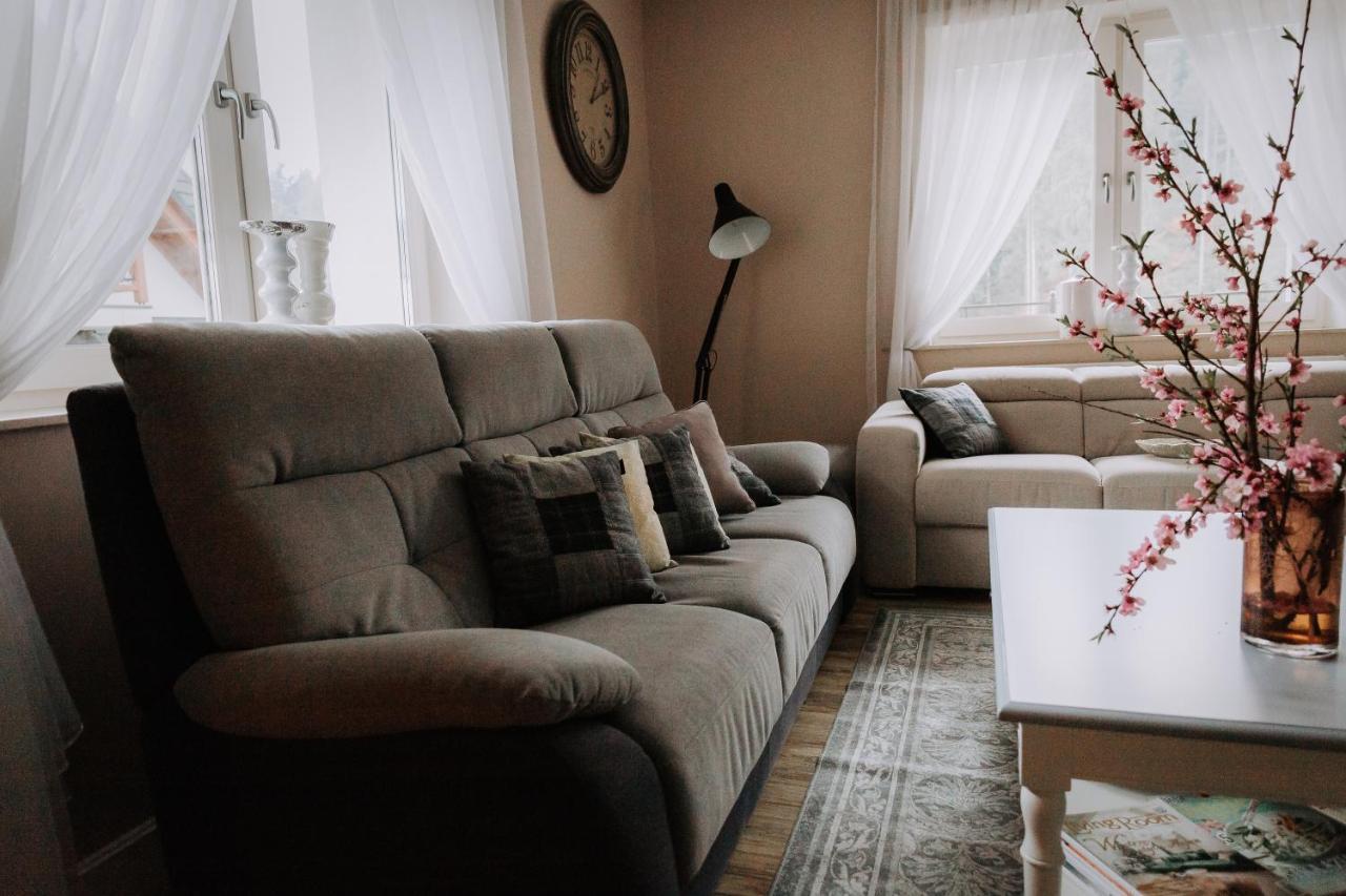 Willa Sepia Spa Wisla Ngoại thất bức ảnh